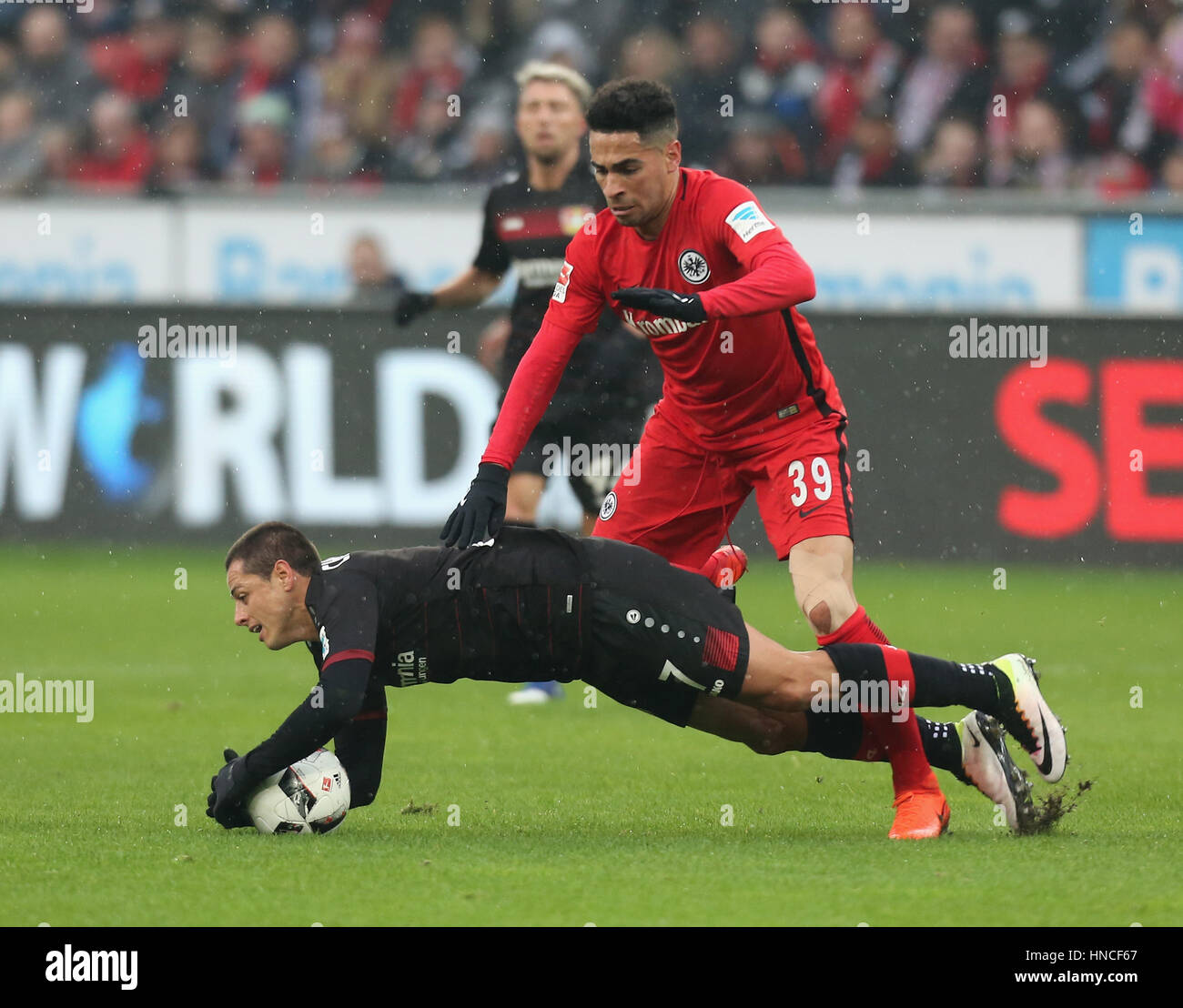 Leverkusen, Germania. Xi Febbraio, 2017. Bundesliga, giornata 20, Bayer 04 Leverkusen - Eintracht Francoforte: Chicharito (B04, L) e Omar Mascarell (SGE) in concorrenza. Credito: Juergen schwarz/Alamy Live News Foto Stock