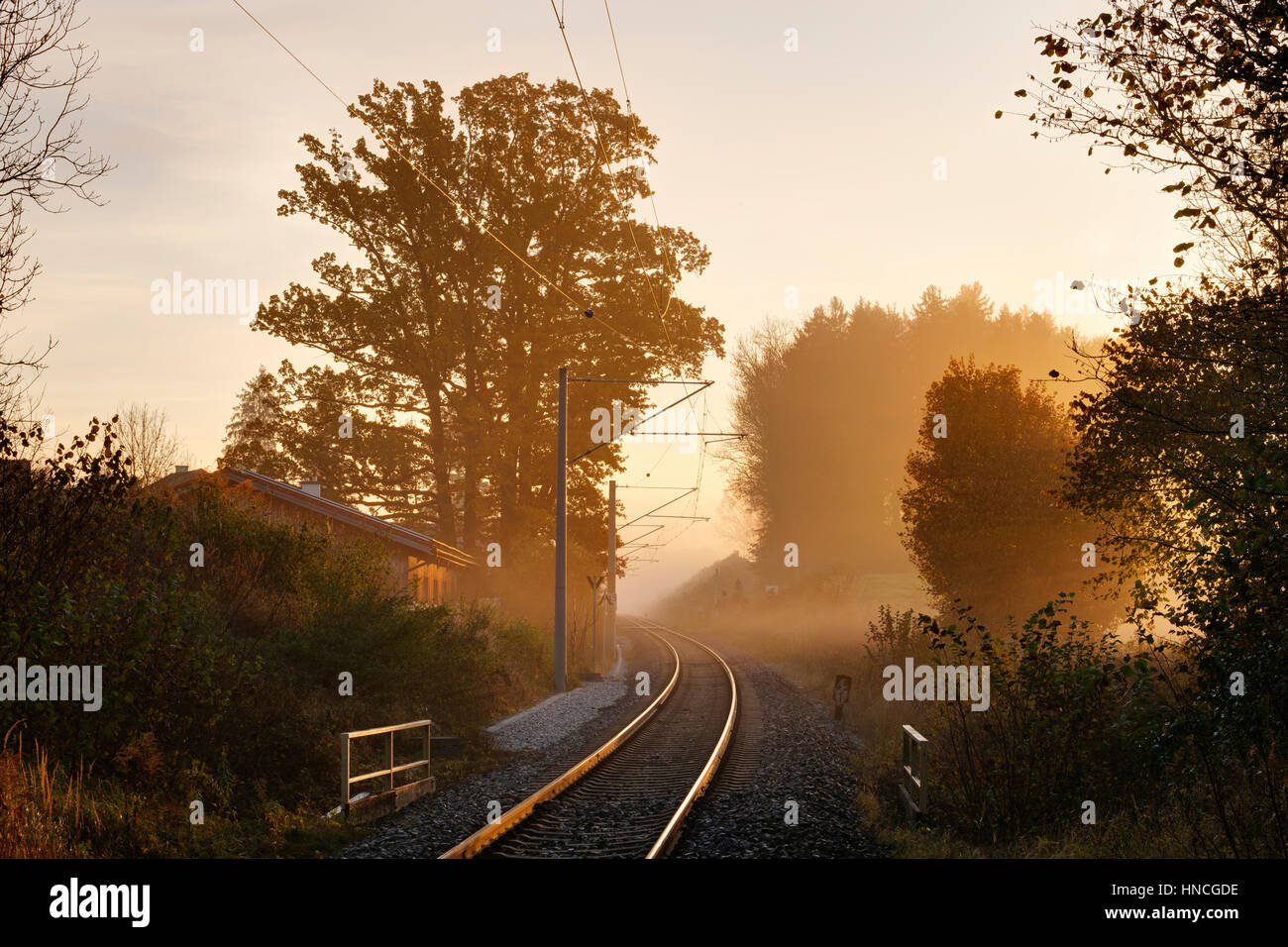 I binari ferroviari nella nebbia, sunrise, Tutzing, Fünfseenland, Alta Baviera, Baviera, Germania Foto Stock