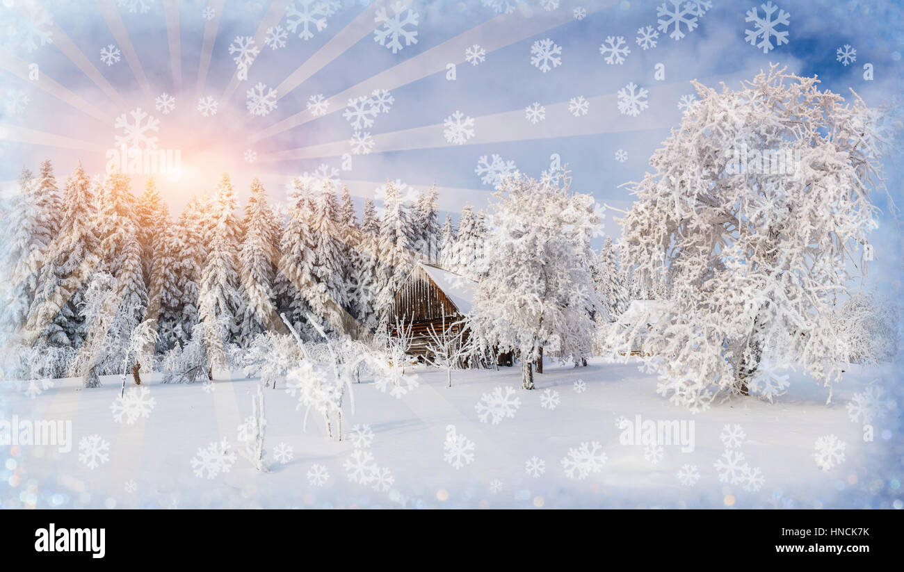 Paesaggio di inverno alberi e recinzioni in brina, sfondo con s Foto Stock