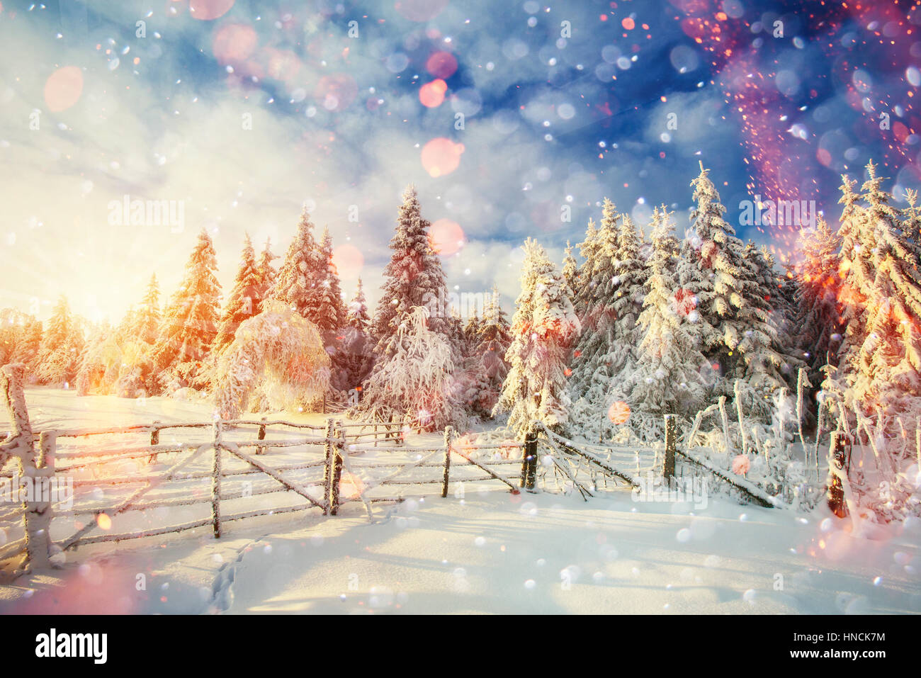 Paesaggio di inverno alberi e recinzioni in brina, sfondo con s Foto Stock