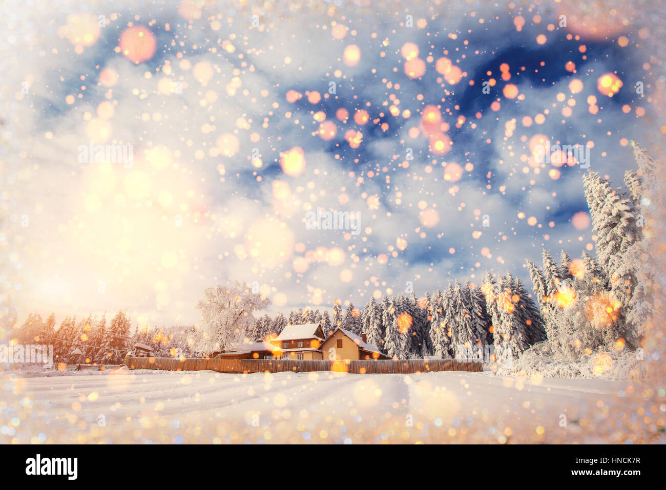Paesaggio di inverno alberi e recinzioni in brina, sfondo con s Foto Stock
