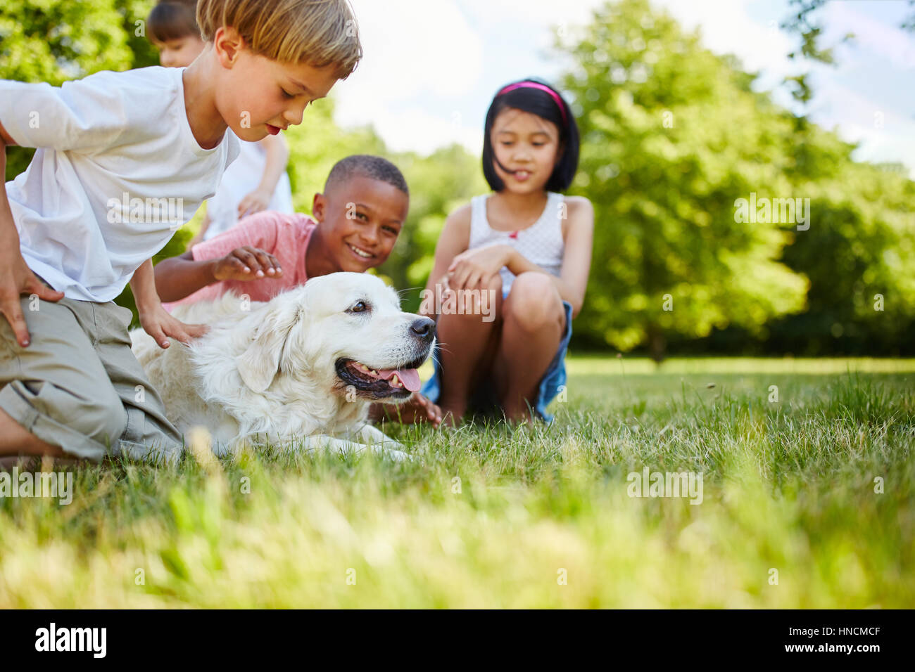 Amante degli animali bambini cane nel parco in estate e giocare Foto Stock