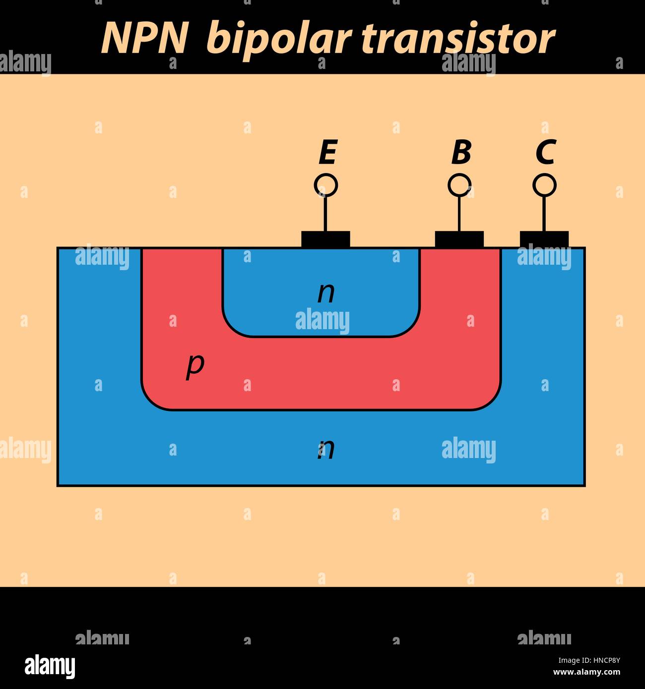 Transistore bipolare di tipo NPN. La illustrazione della sezione trasversale di un transistore bipolare di tipo NPN Illustrazione Vettoriale