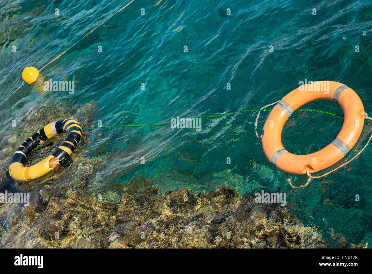 Lifeline in mar rosso vicino alla barriera corallina Foto Stock