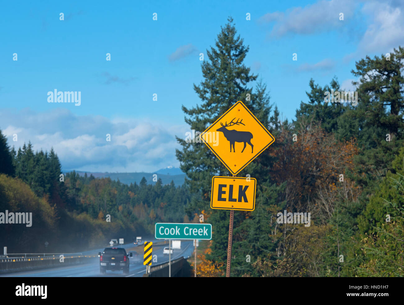 Segnaletica stradale avvertire del rischio di Elk sulla Vancouver Island's Highway 19 vicino il cuoco Area torrente in BC Canada. Foto Stock