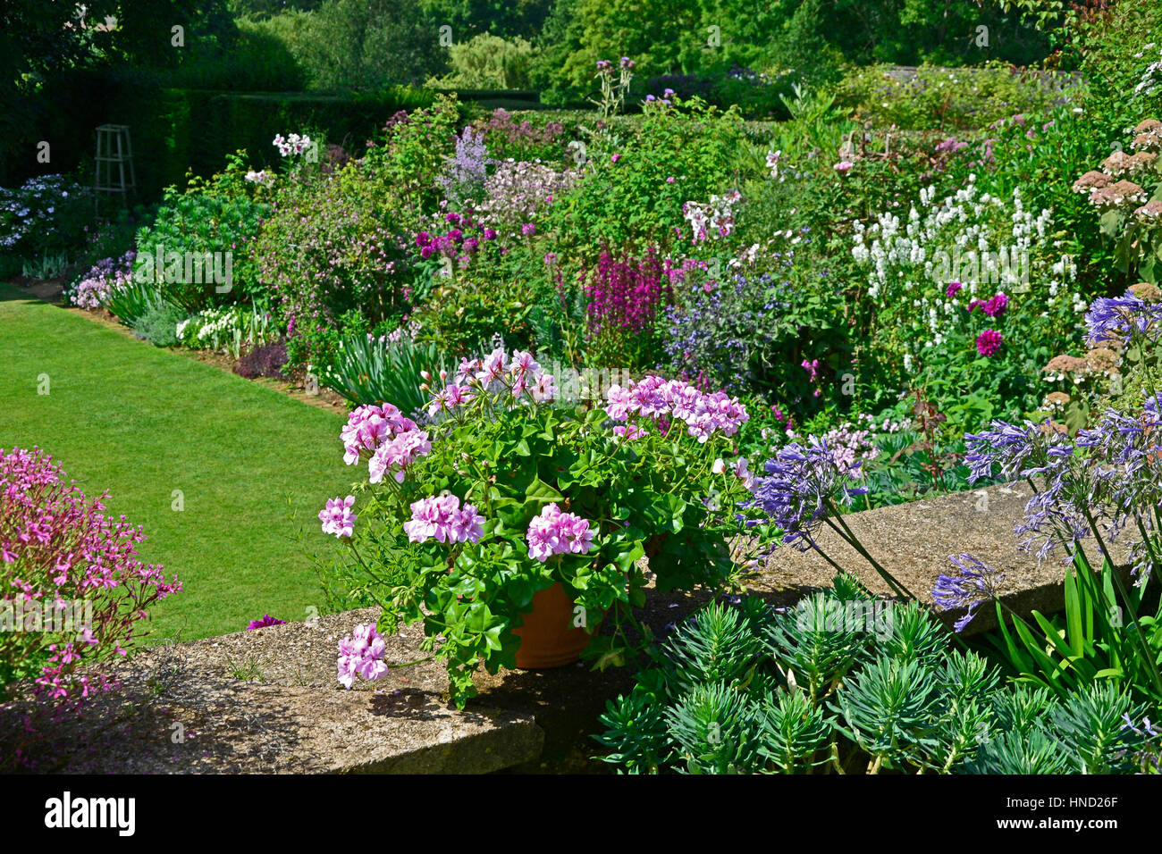 Giardino vista dalla terrazza a bordo colorato e aperta campagna con Agapanthus e Pelargonium Foto Stock