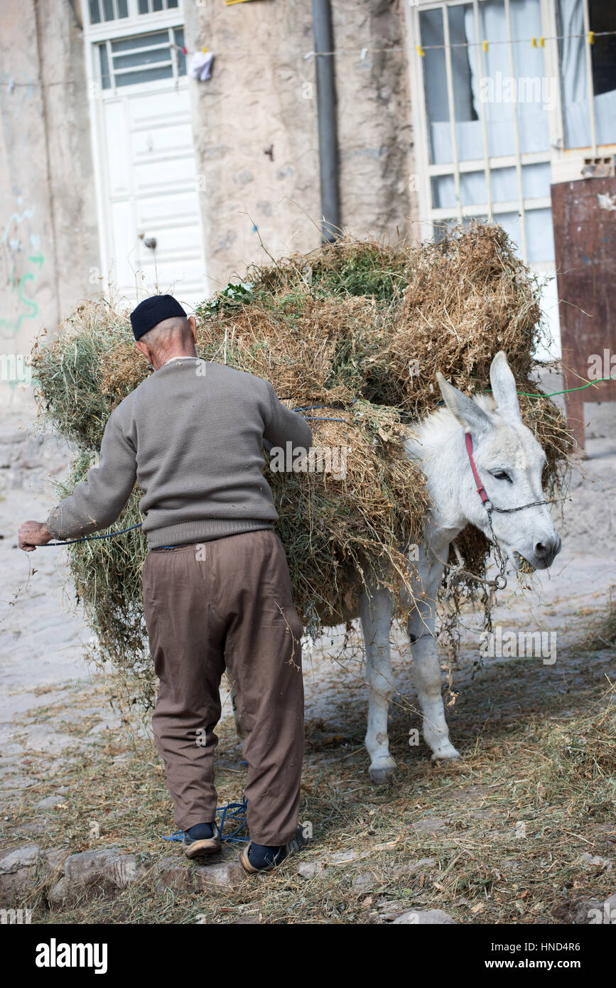 Un uomo azera il caricamento di un asino con fieno e antico borgo di kandovan, est provincia azerbaijian, Iran Foto Stock