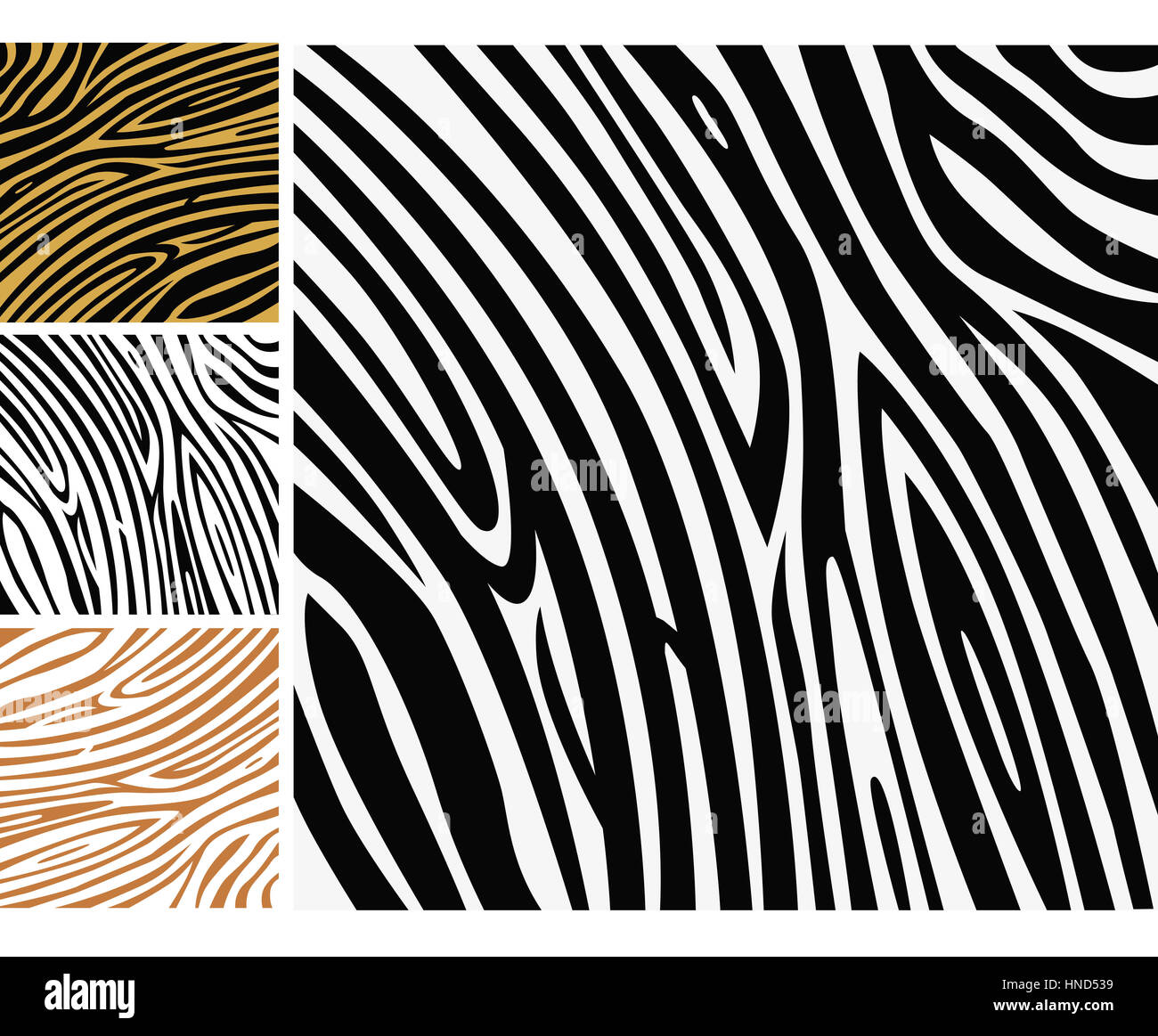 Lusso Africa originale Zebra design / Edizione monocromatica Foto Stock