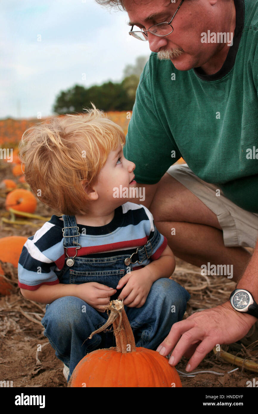 Padre e figlio sono preleva una zucca alla zucca patch Foto Stock