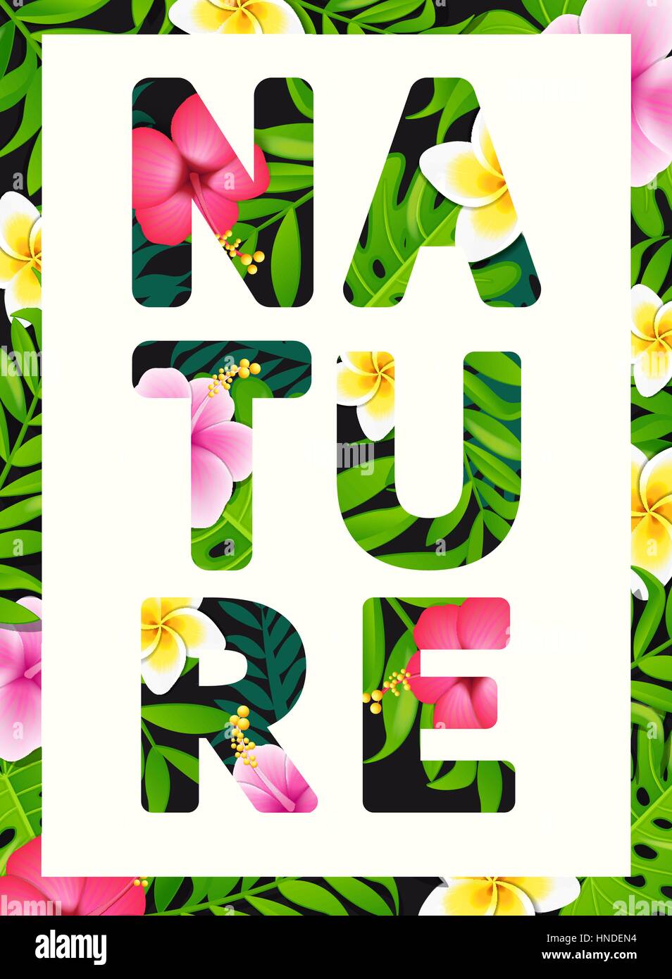 Tropical Stampa slogan. Per brochure e banner, illustrazione vettoriale. Illustrazione Vettoriale