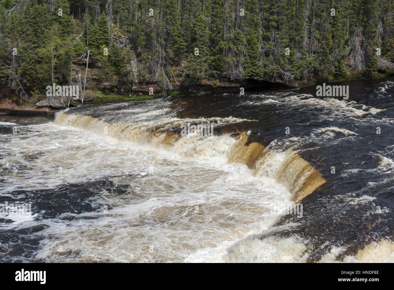 Grande ricade sull'Humber (salmone) River, Sir Richard Squires Provicial Park, Terranova Foto Stock