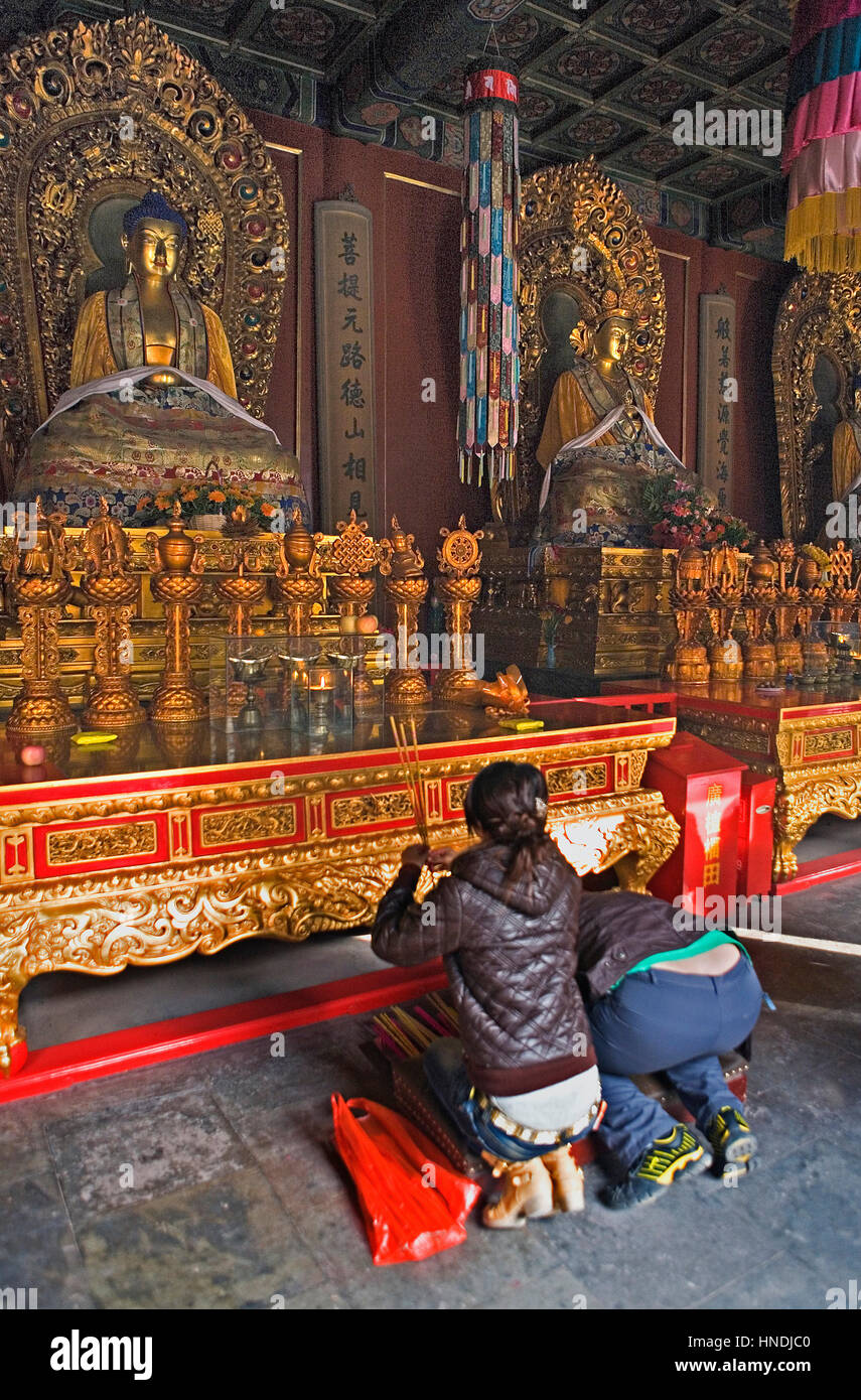 Pregate, pregando, offrendo i credenti alla Yong he Gong tempio lama pregando e la combustione di bastoncini di incenso,Beijing, Cina Foto Stock