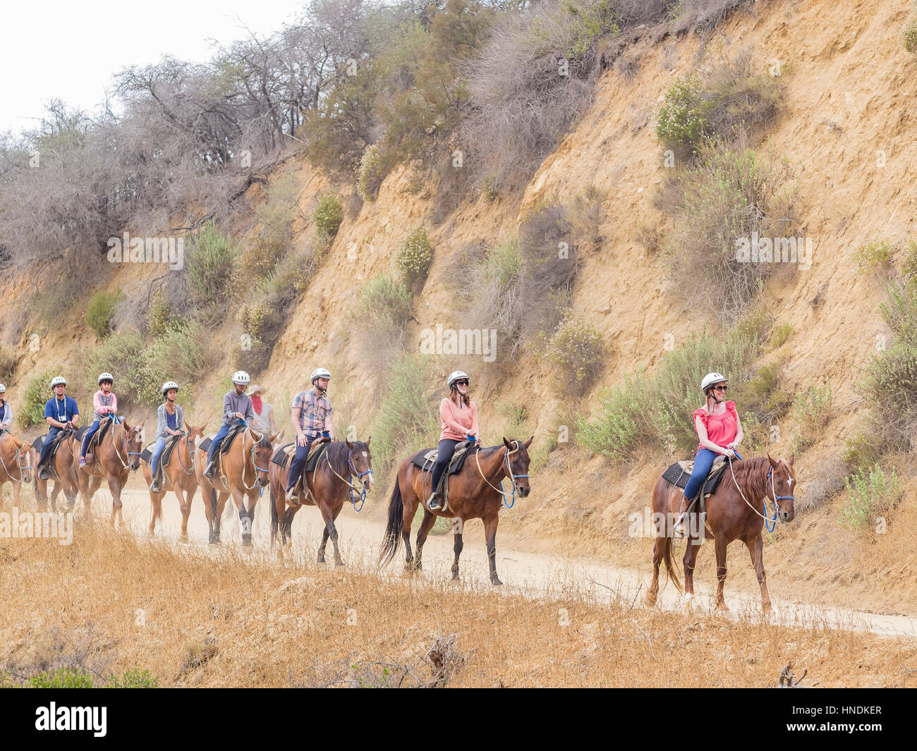 Los Angeles, 20 LUG: passeggiate a cavallo in Hollywood Hills trail il Lug 20,2014 a Los Angeles Foto Stock