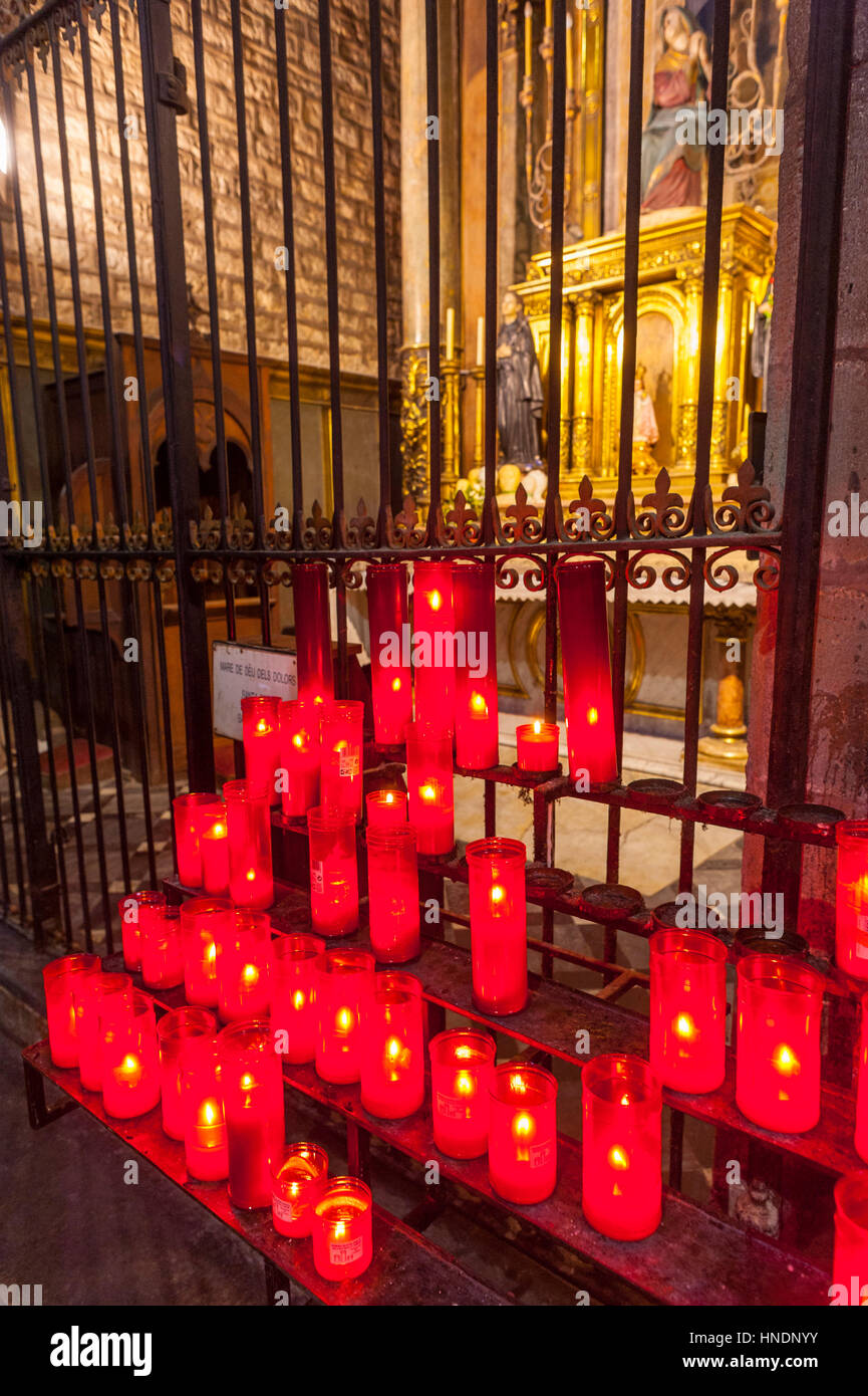 Interno della chiesa di Santa Maria del Pi in Il quartiere gotico di Barcellona Foto Stock