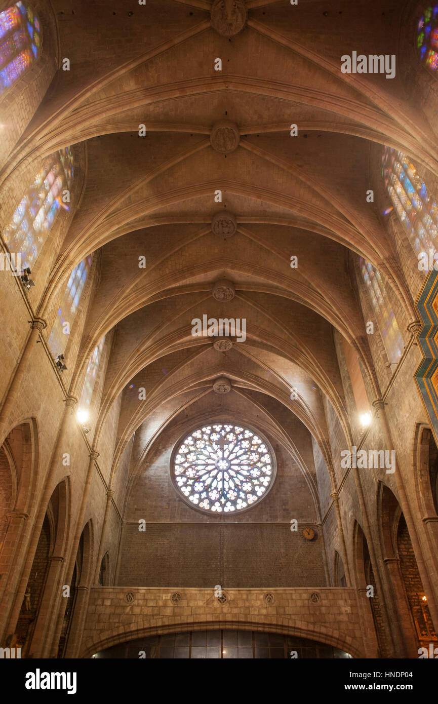 Interno della chiesa di Santa Maria del Pi in Il quartiere gotico di Barcellona Foto Stock