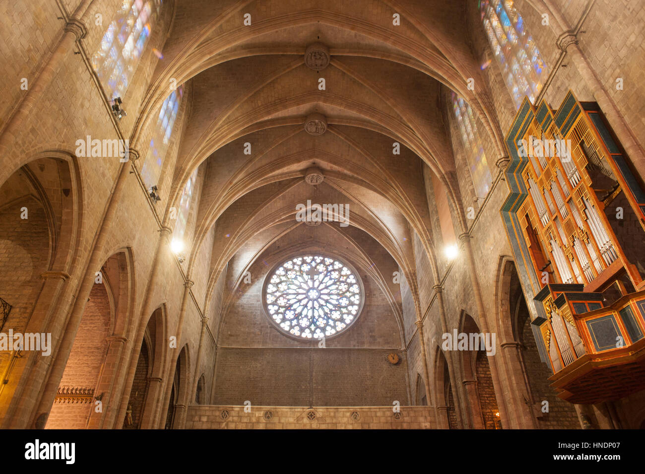 Interno della chiesa di Santa Maria del Pi in Il quartiere gotico di Barcellona Foto Stock