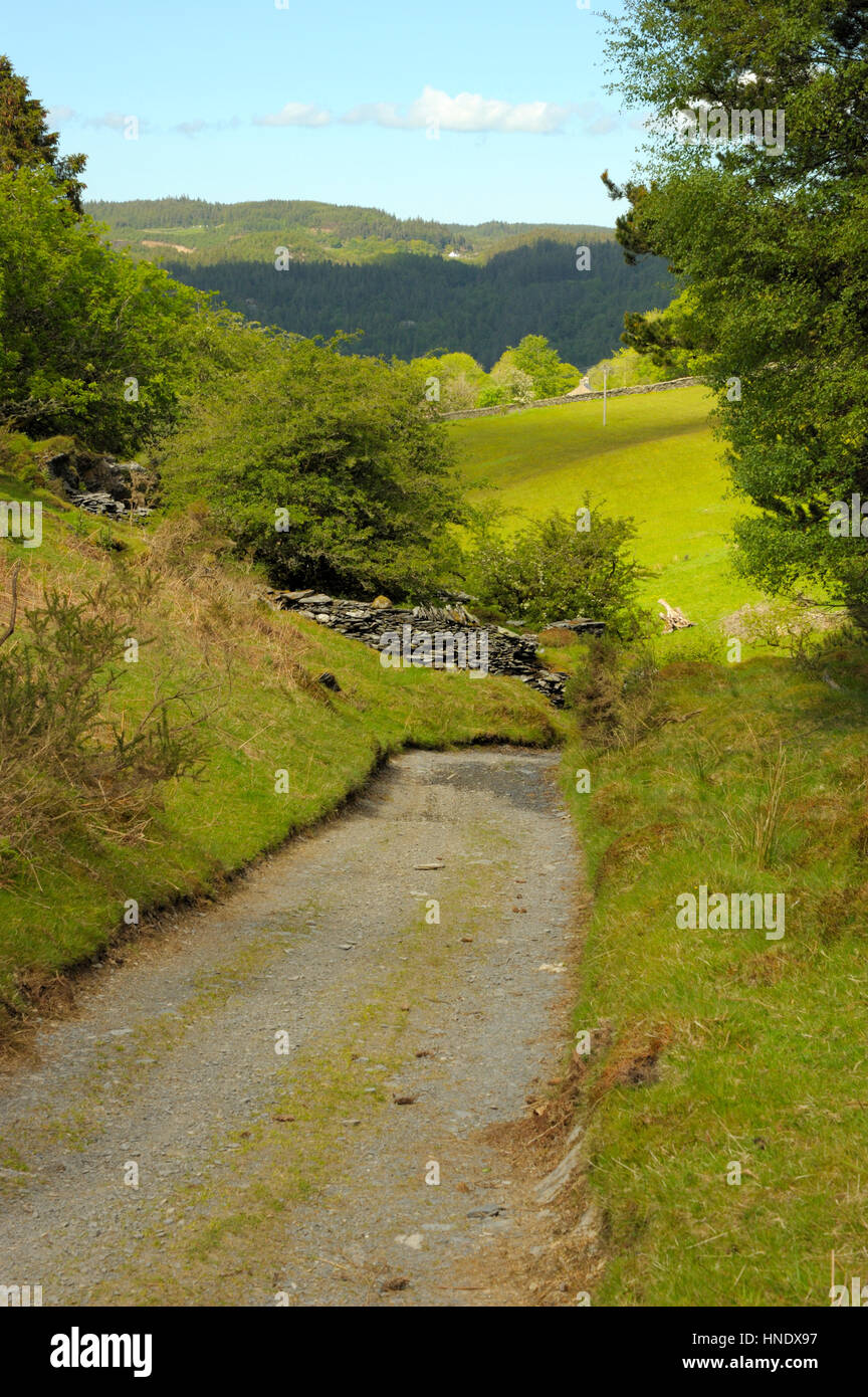 Sarn Helen a Rhiwddolion Foto Stock