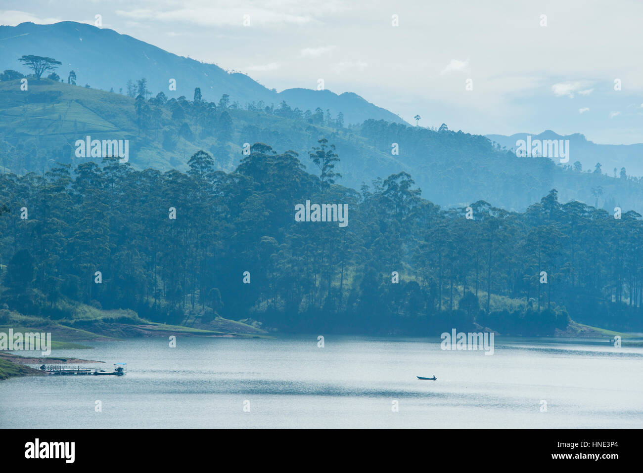 Canoa sul serbatoio Castlereagh, Hatton, Sri Lanka Foto Stock
