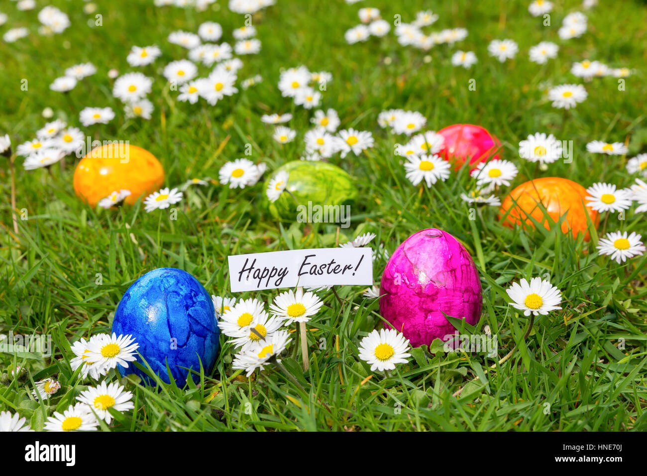 Verniciato colorato le uova di Pasqua in erba con margherite di fioritura in primavera Foto Stock
