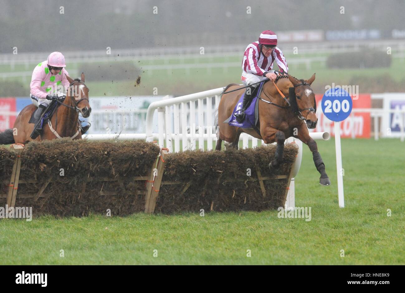 Mega Fortune cavalcato da Davy Russell andare a vincere la molla il novellame di ostacolo durante la Stan James Irish Gold Cup giorno a Leopardstown Racecourse, Dublino. Foto Stock