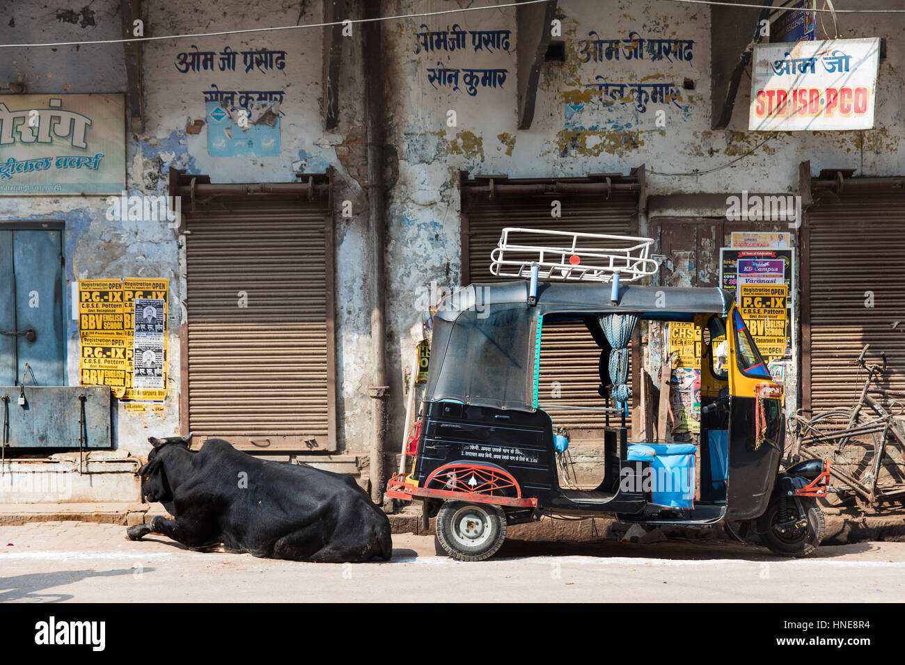 04/02/2017. Varanasi (India). Una mucca dorme accanto a un vuoto di rickshaw di Varanasi, uno di India del santissimo città. Photo credit: Rob Pinney Foto Stock