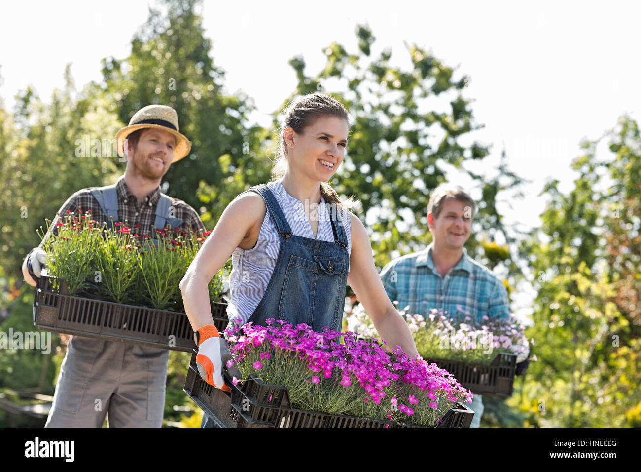 Giardinieri sorridente che trasportano le gabbie con vasi di fiori in vivaio Foto Stock