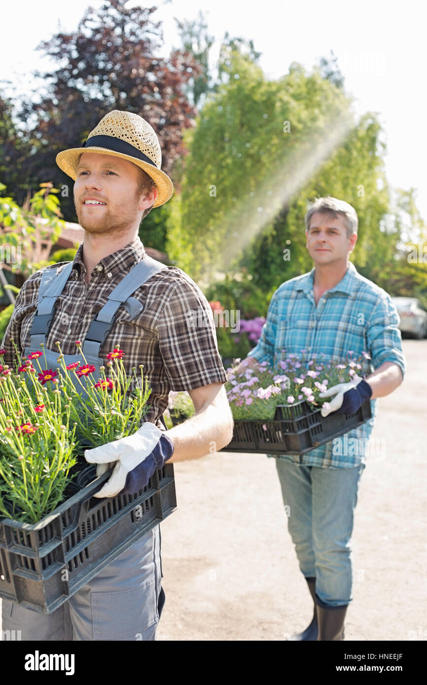 Giardinieri portando vasi da fiori in gabbie in vivaio Foto Stock