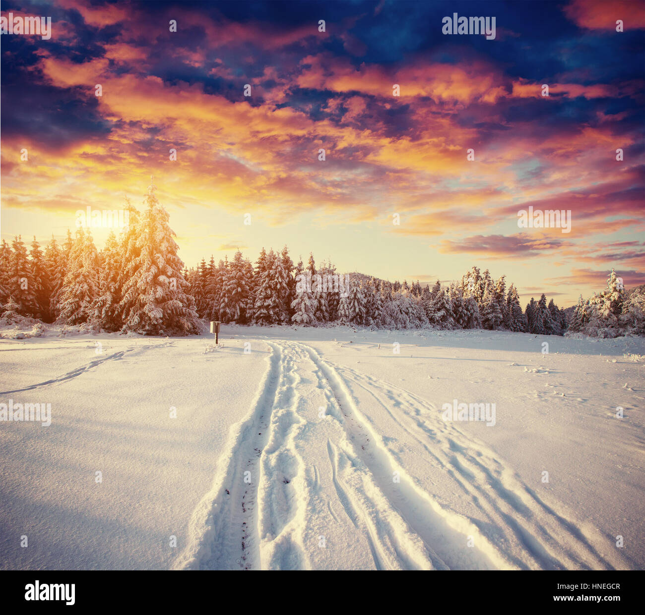 Strada d'inverno. Bel colore ad alta risoluzione di immagine con una vacanze Foto Stock