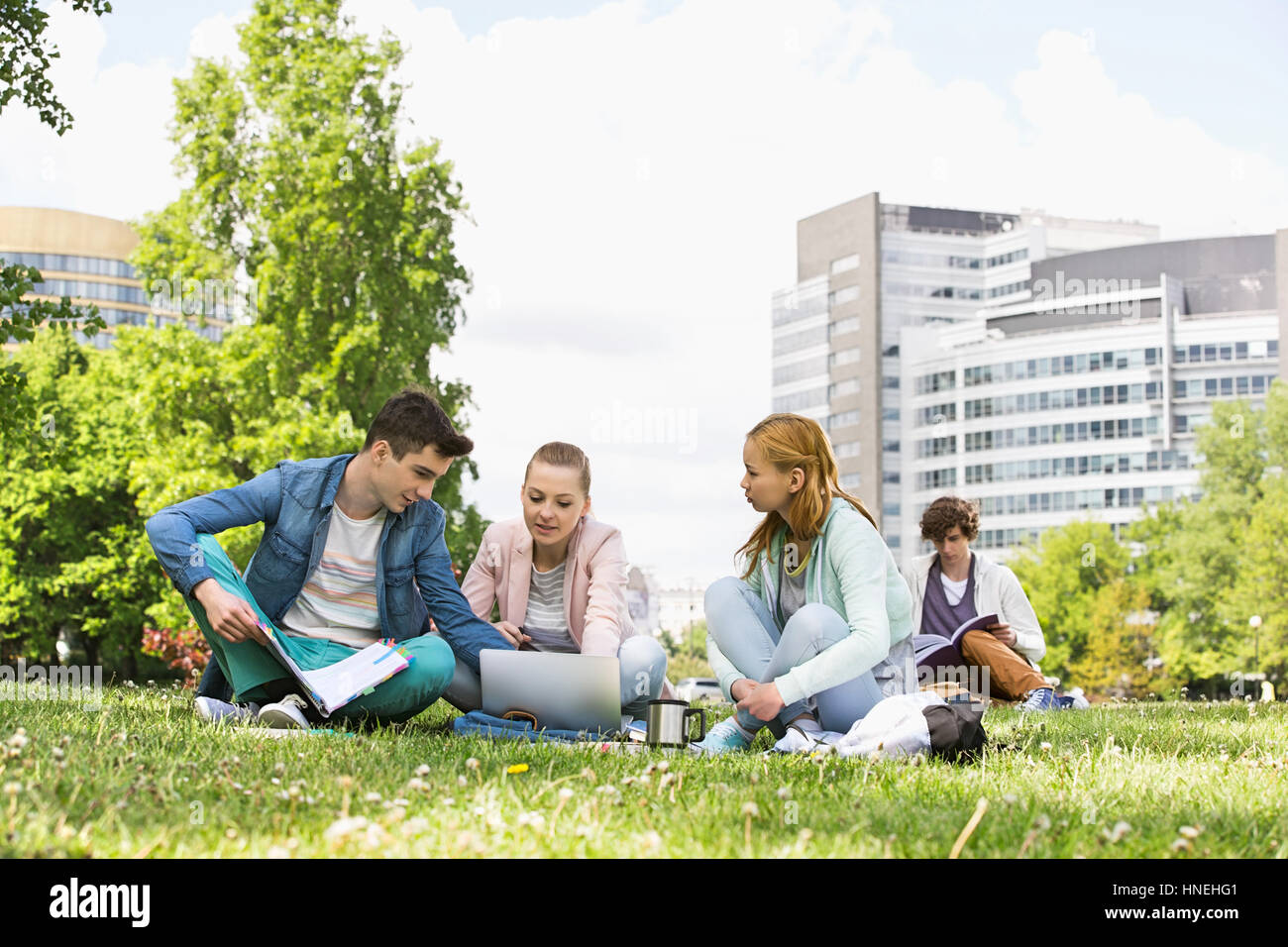 College amici che studiano durante l'utilizzo di laptop presso il campus Foto Stock