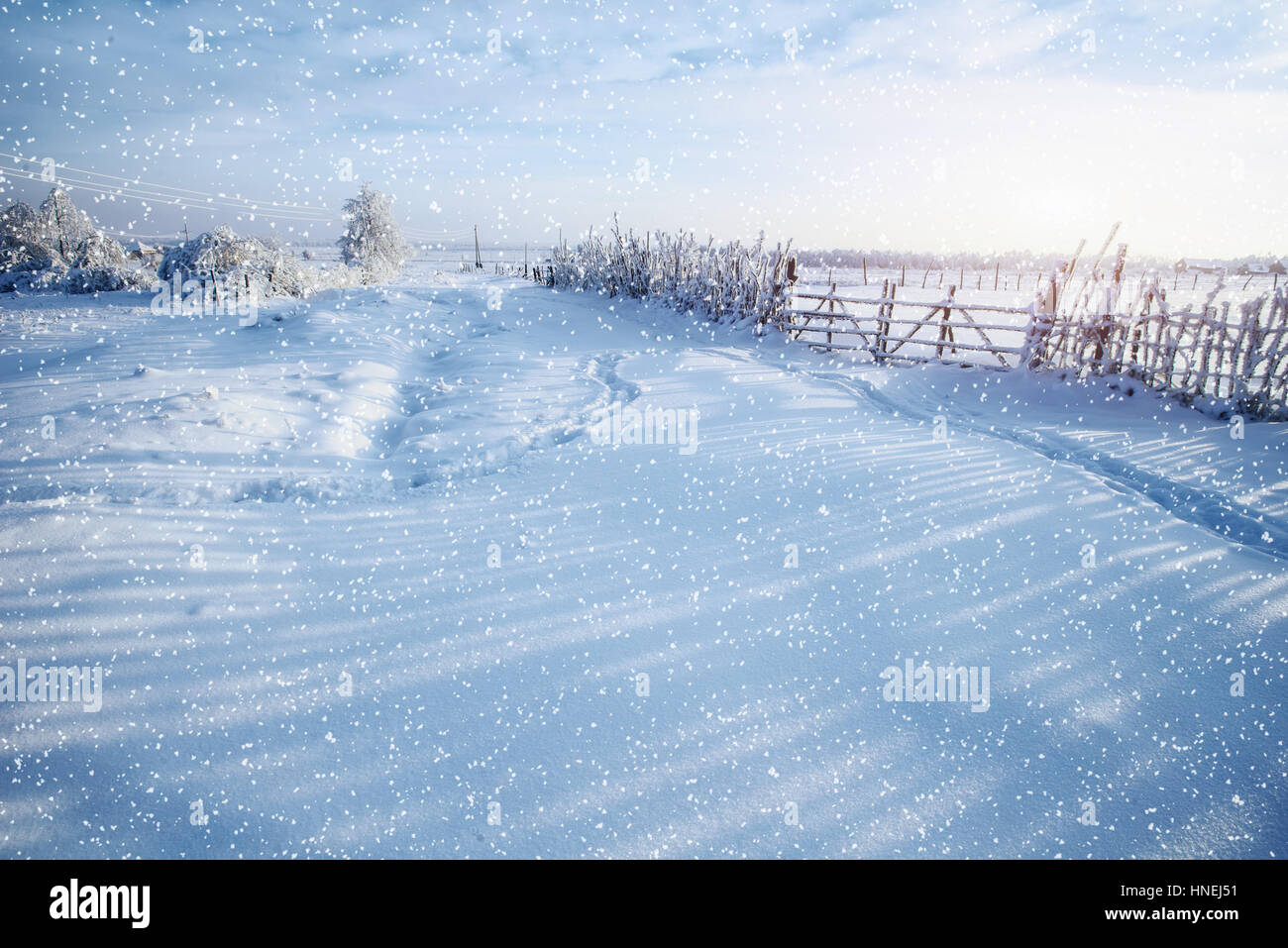 Paesaggio di inverno alberi e recinzioni in brina, sfondo con s Foto Stock