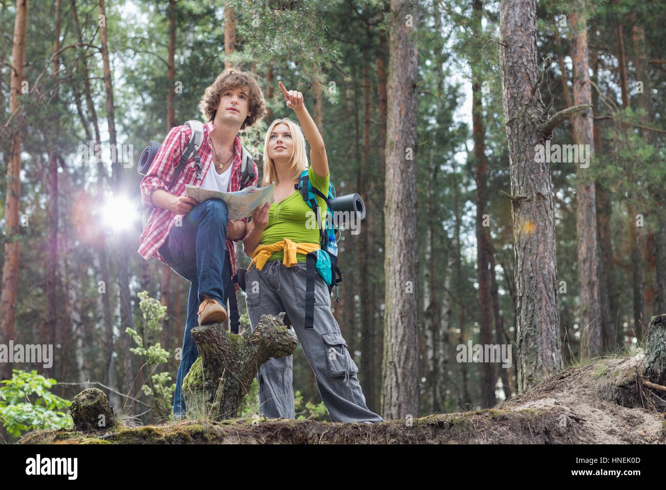 Giovani escursionismo coppia con mappa discutendo sulla direzione nella foresta Foto Stock