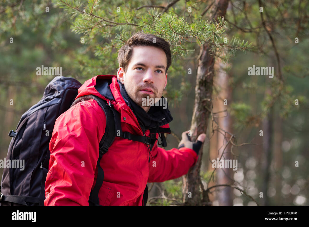 Giovane maschio backpacker in foresta Foto Stock