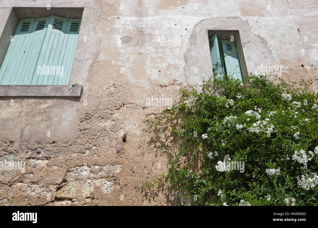 Basso angolo vista del muro di pietra casa con piante e fiori che crescono in primo piano Foto Stock