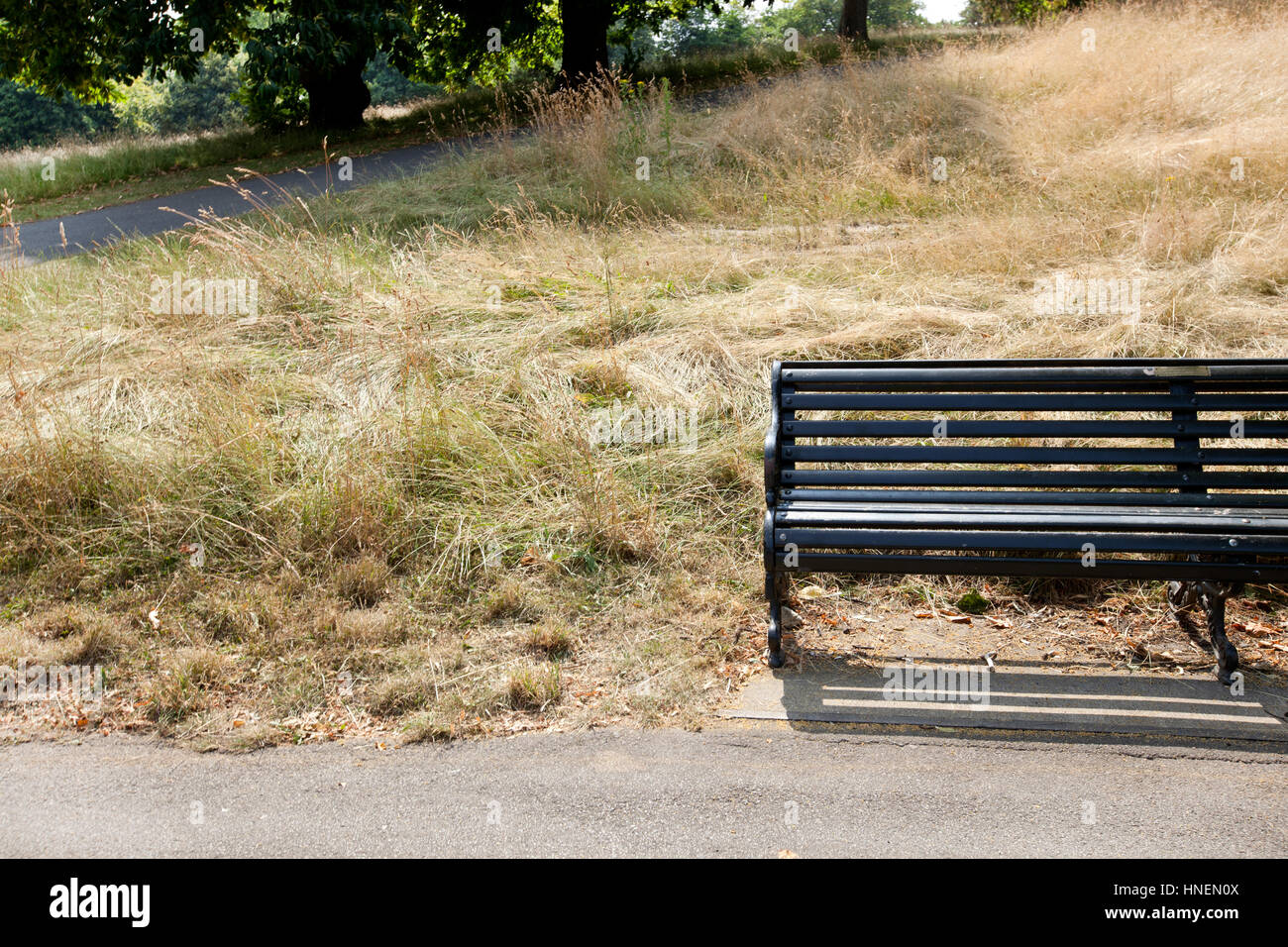 Svuotare una panchina nel parco in posizione di parcheggio Foto Stock