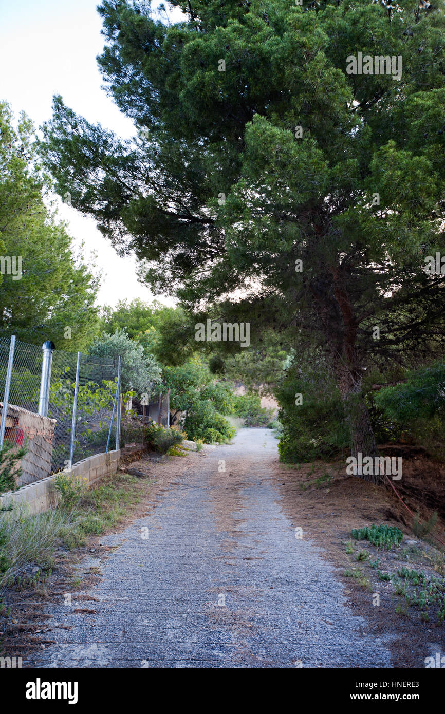 Strada rurale vicino Pu√ßol Valencia Foto Stock