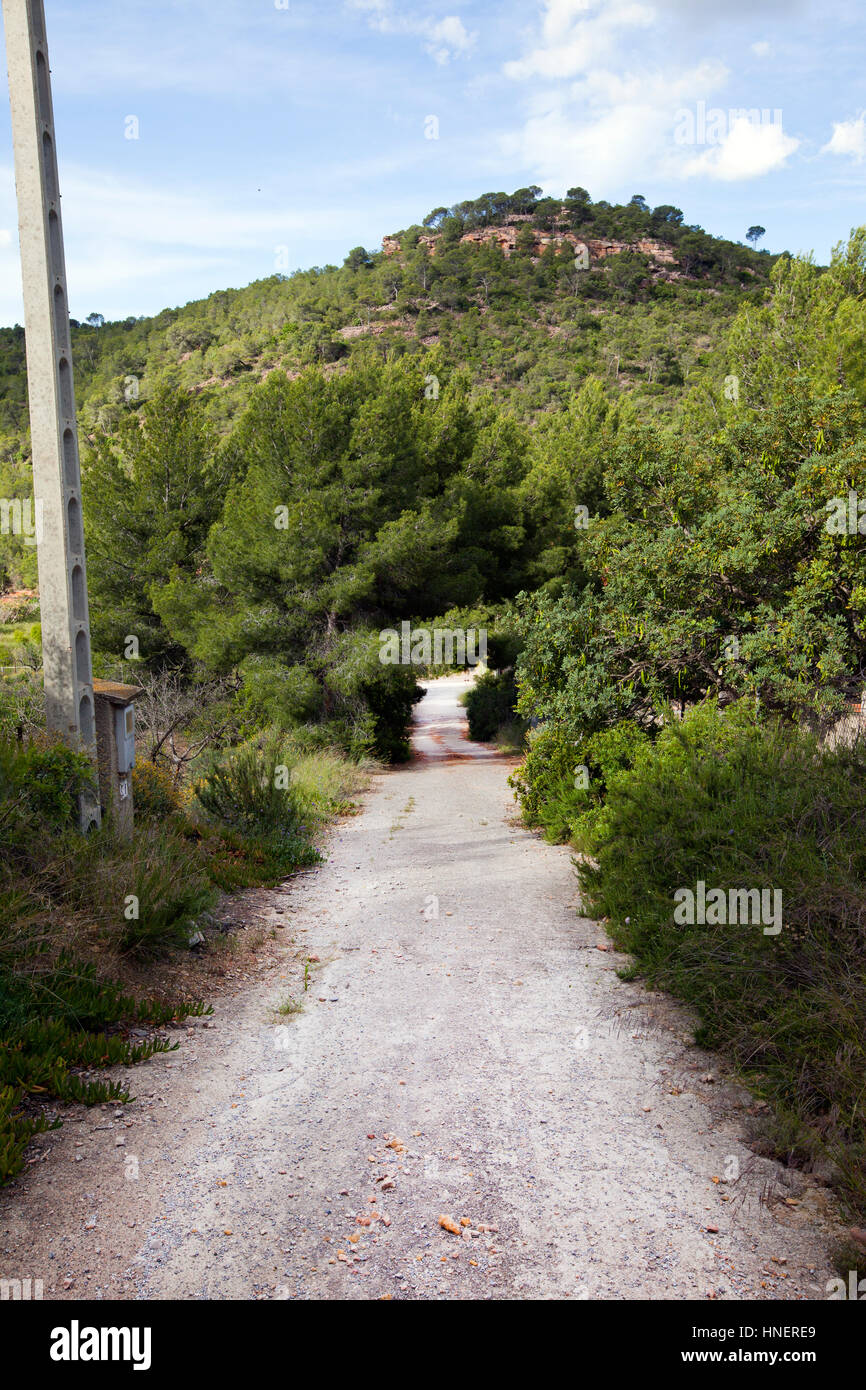 Strada rurale vicino Pu√ßol Valencia Foto Stock