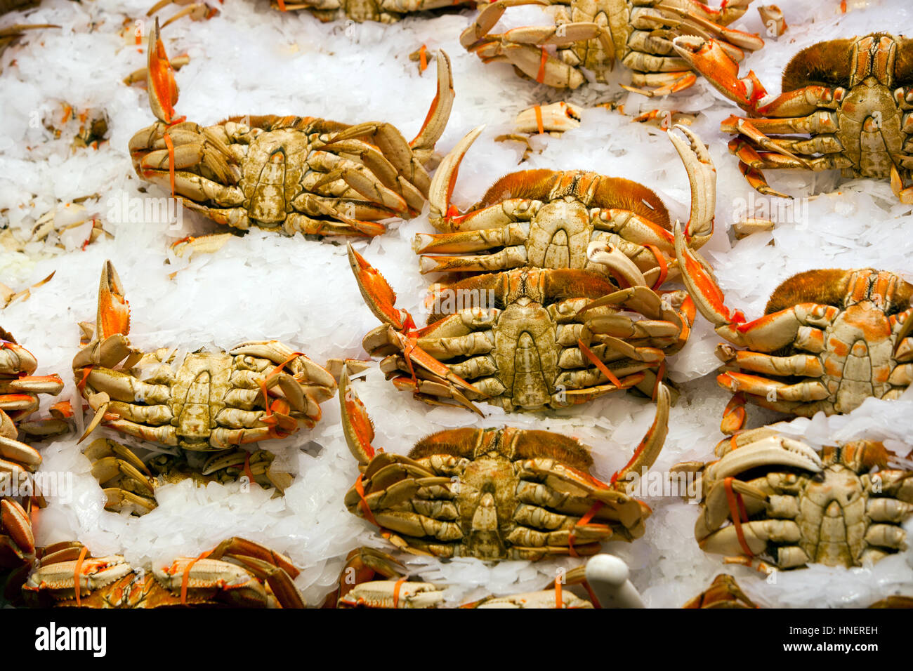 Granchi in esposizione al mercato del pesce Foto Stock