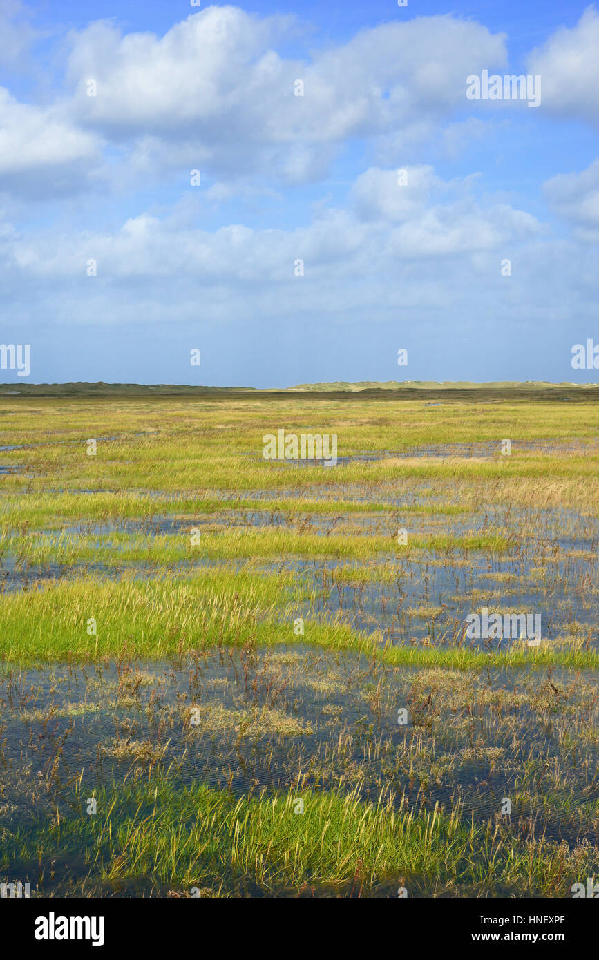 Le saline di allagamento di marea e cumulus nuvole (cumulus), Sankt Peter-Ording, Schleswig-Holstein il Wadden Sea National Park Foto Stock