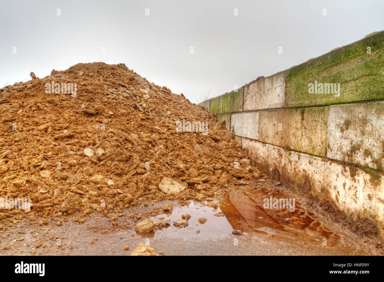 Stoccaggio di sterco di gallina Foto Stock