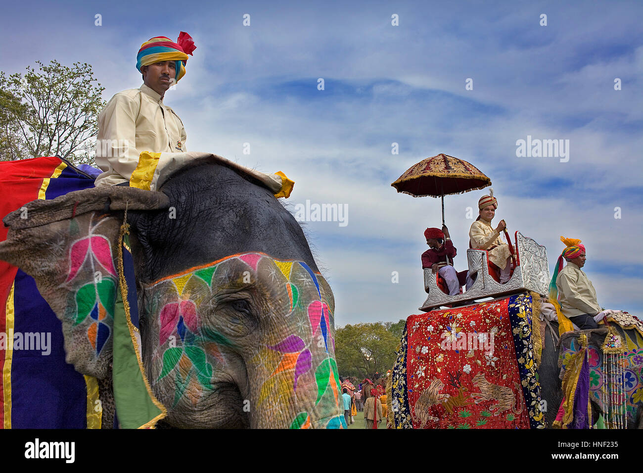 Festival di elefante,Jaipur, Rajasthan, India Foto Stock