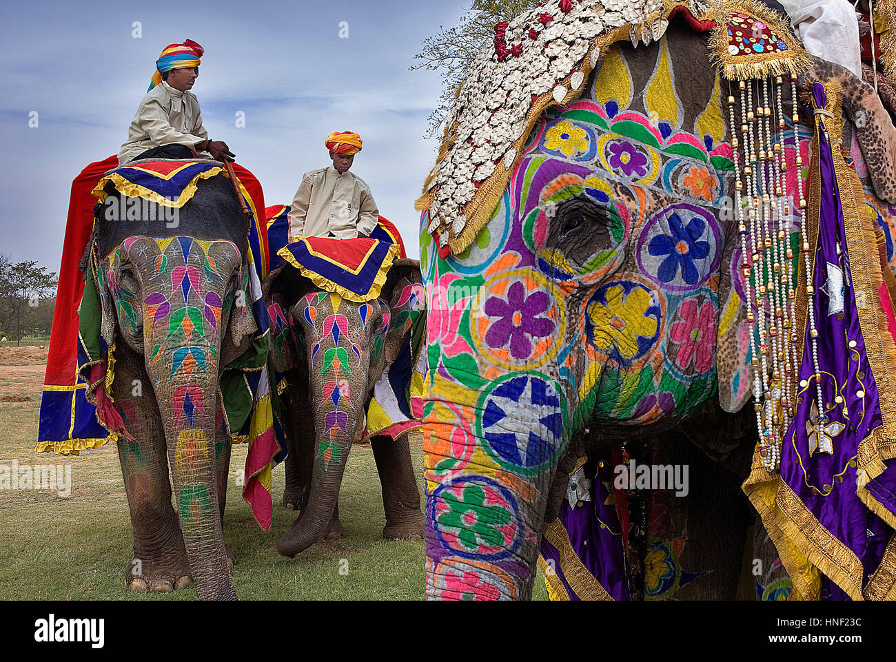 Festival di elefante,Jaipur, Rajasthan, India Foto Stock