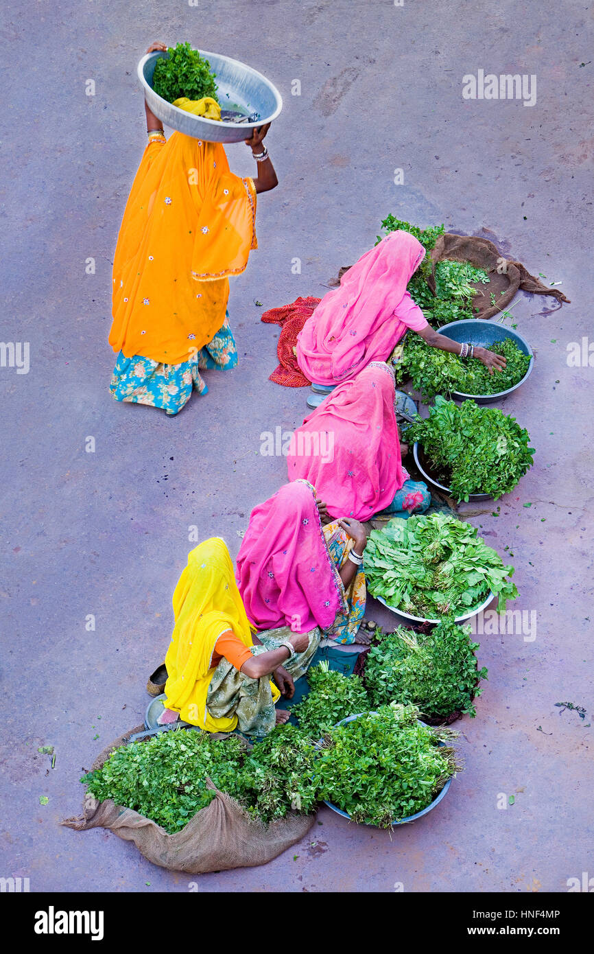 Laxmi mercato,, pushkar Rajasthan, India Foto Stock