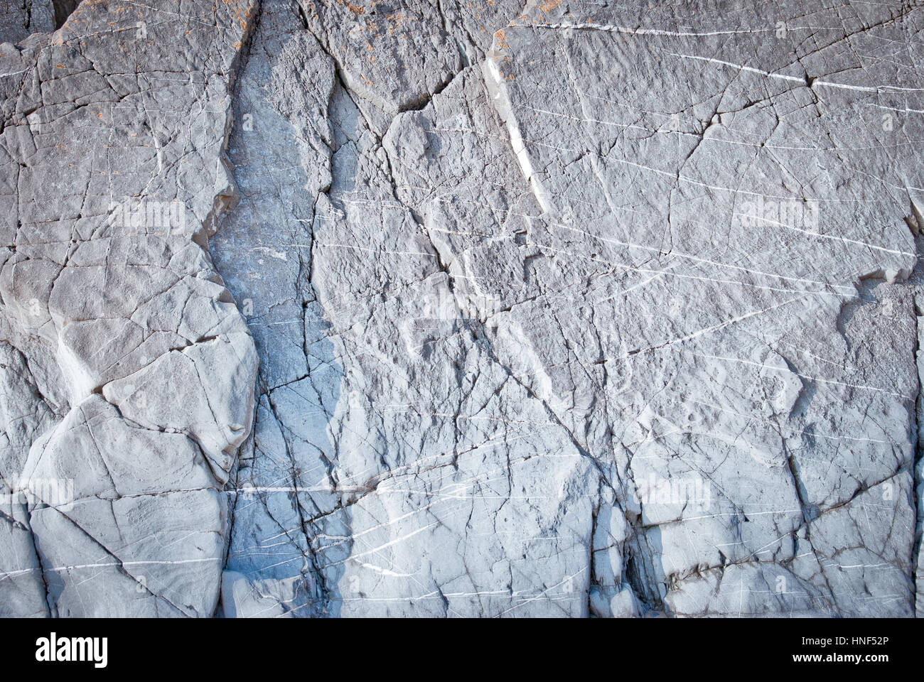 Texture costiera Foto Stock