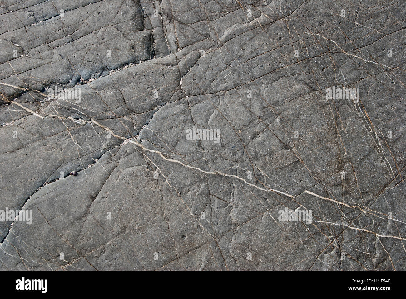 Texture costiera Foto Stock