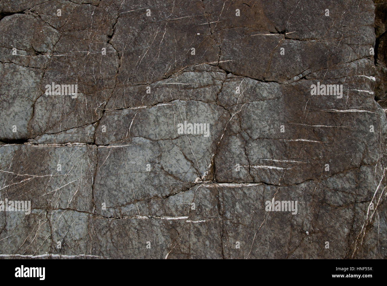 Texture costiera Foto Stock