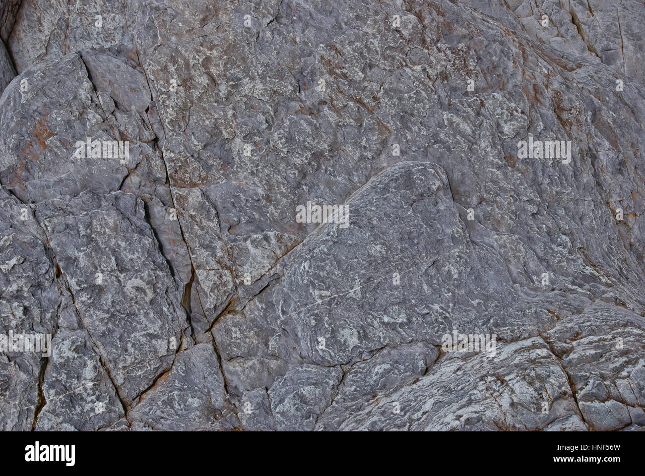 Texture costiera Foto Stock