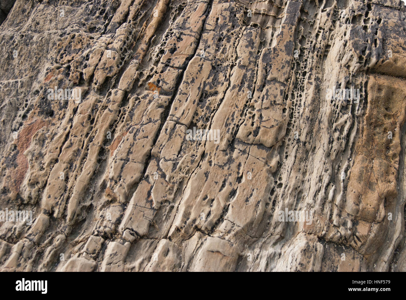 Texture costiera Foto Stock