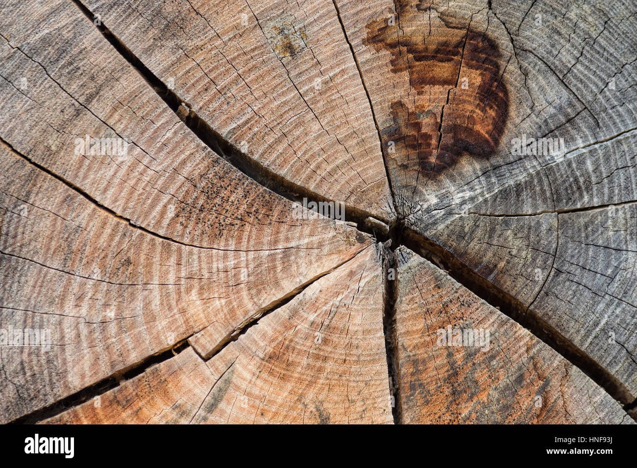 Il legno vecchio grunge texture Foto Stock