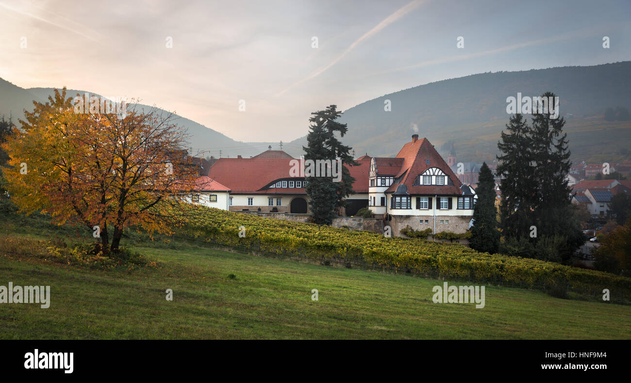 Villaggio del vino di San Martino a autunno, Pfalz, Germania Foto Stock
