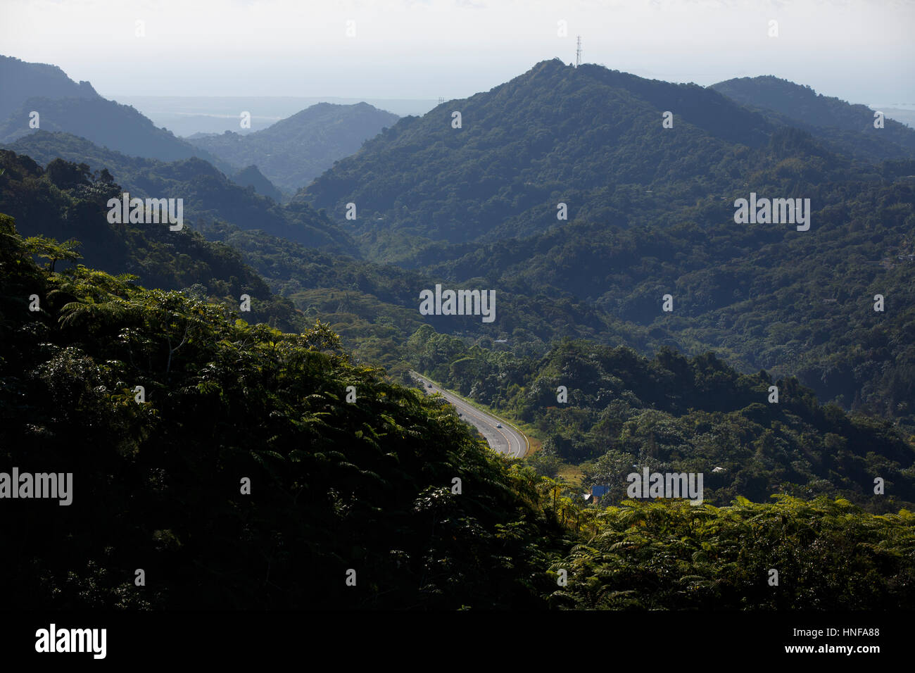 Regione montuosa nel sud-est di Puerto Rico Foto Stock